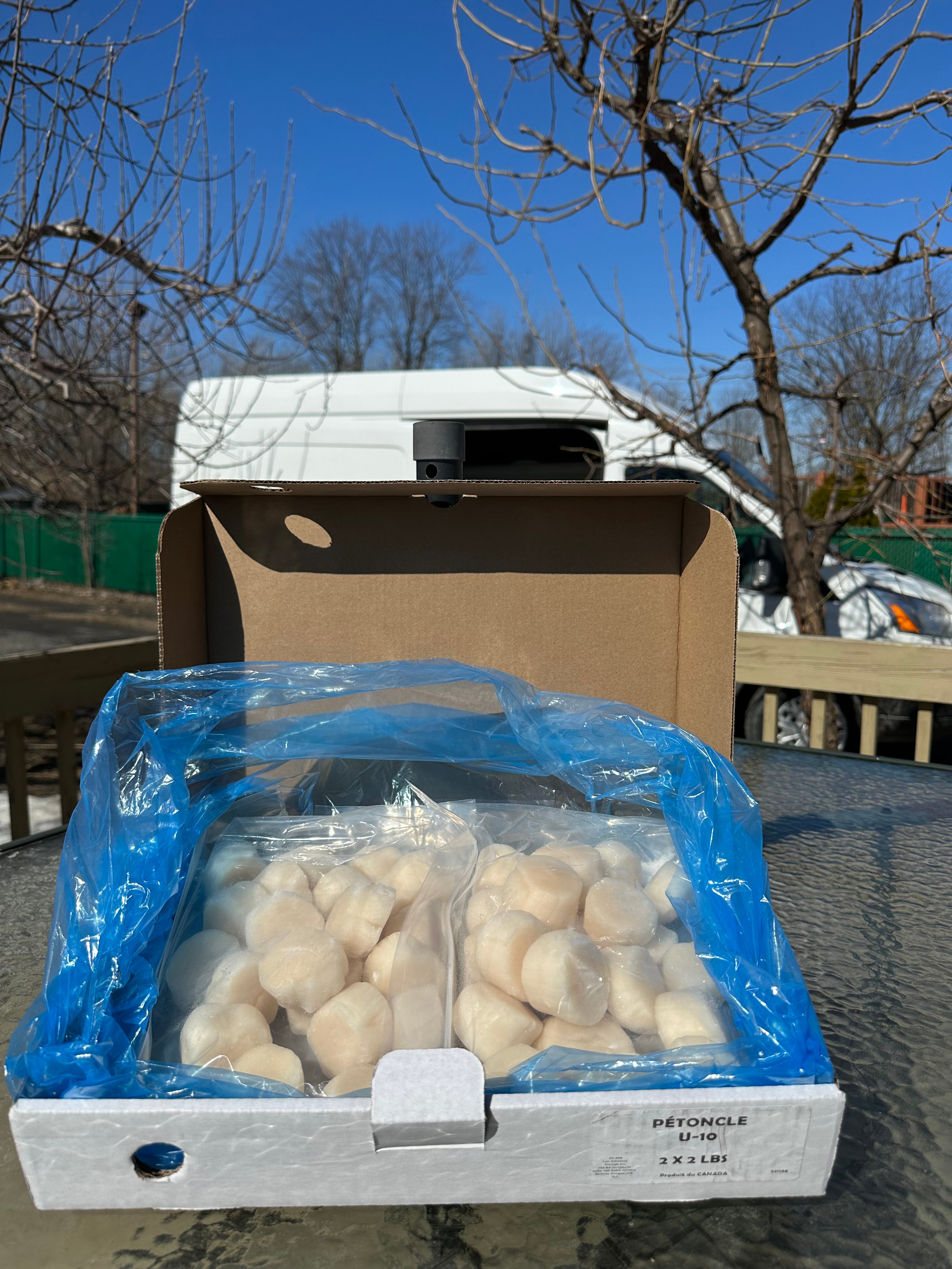 Boîte- Pétoncles- Sac 2 x 2 livres