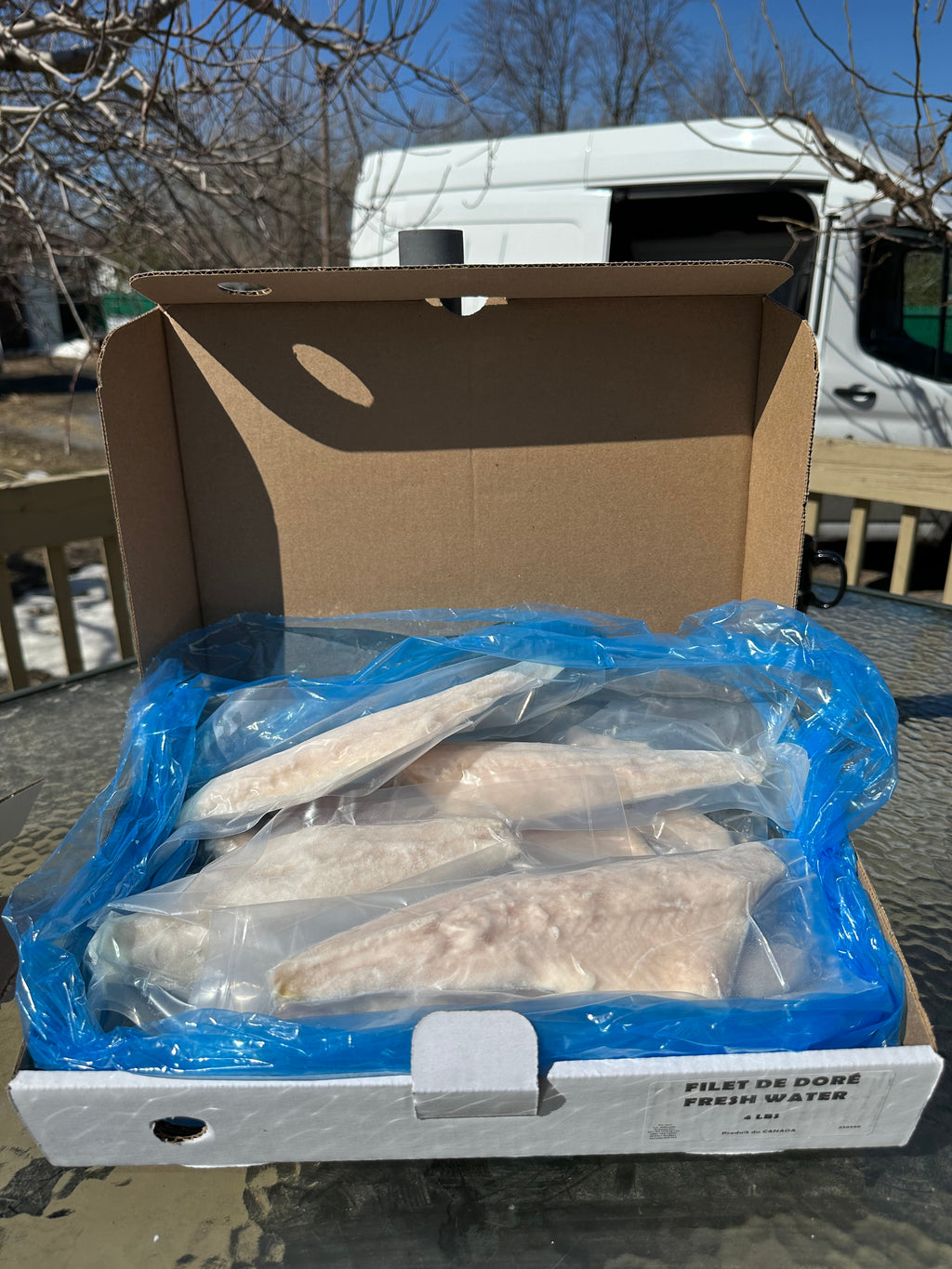 Boîte- Poissons Surgelés  jusqu' à -78°f - Filets